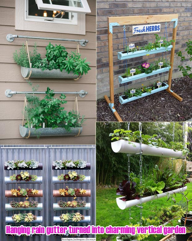Hanging rain gutter turned into charming vertical garden