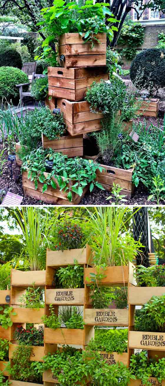 Stacking old boxes to form a vertical garden