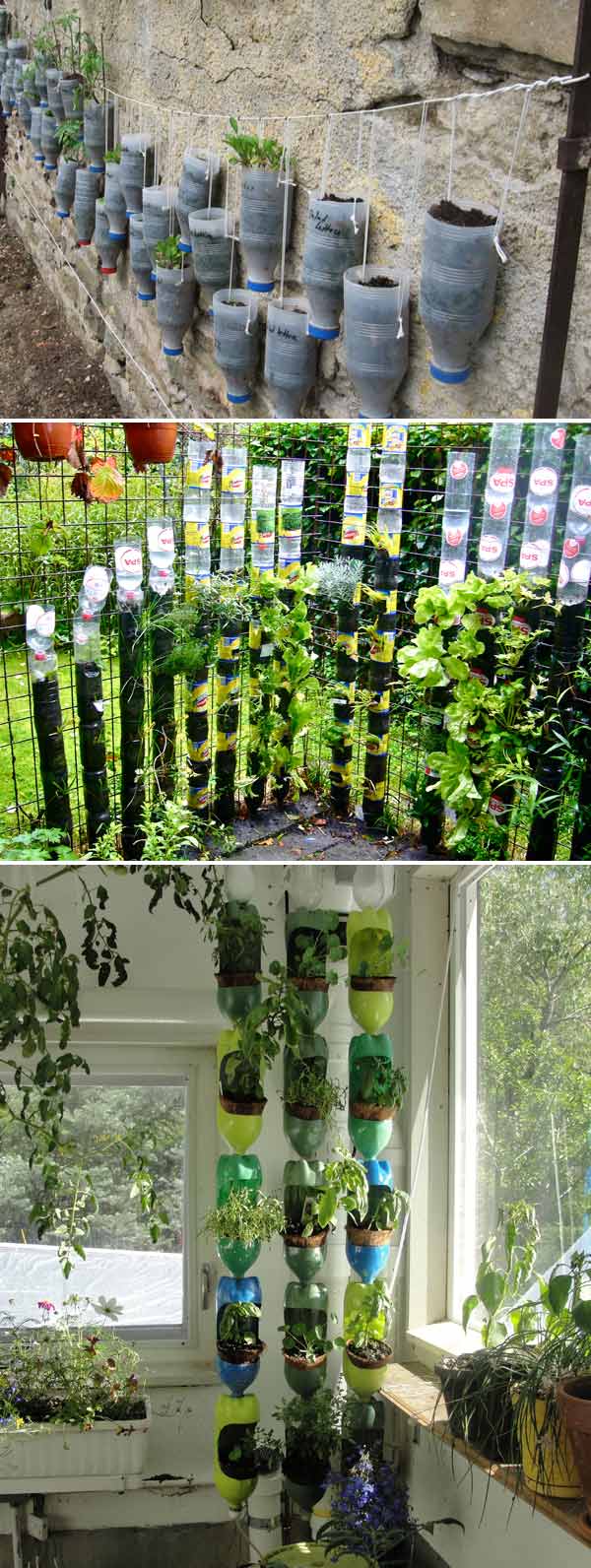 recycled plastic bottles can create surprisingly vertical gardens