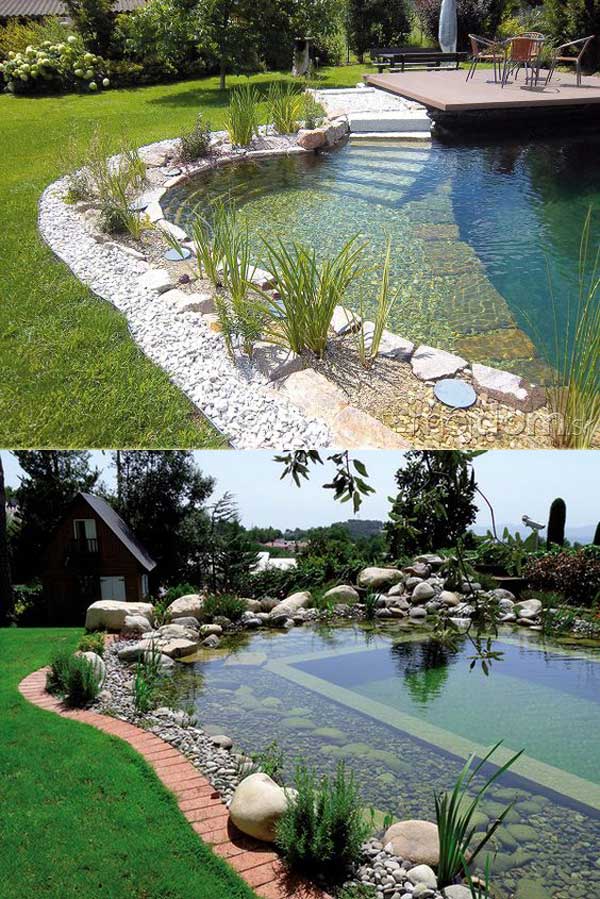 17 Family Natural Swimming Pools You Want To Jump Into Immediately Natural Swimming Pools 1