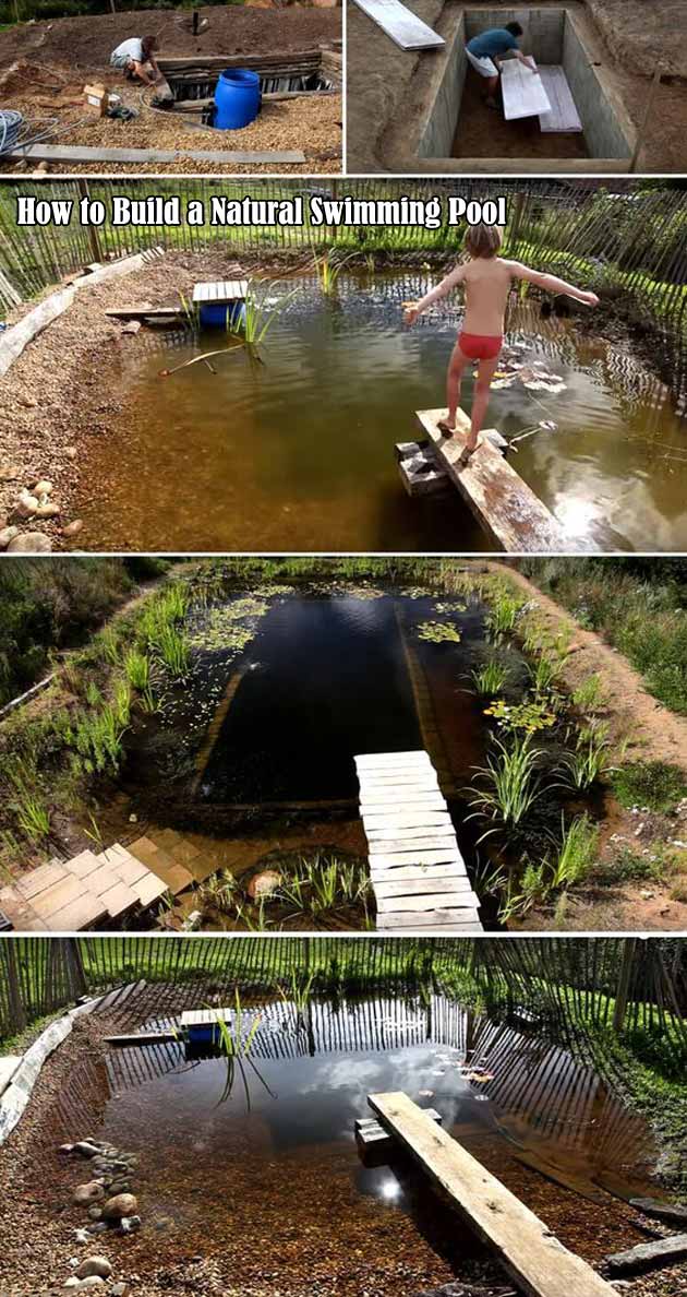 17 Family Natural Swimming Pools You Want To Jump Into Immediately Natural Swimming Pools 11