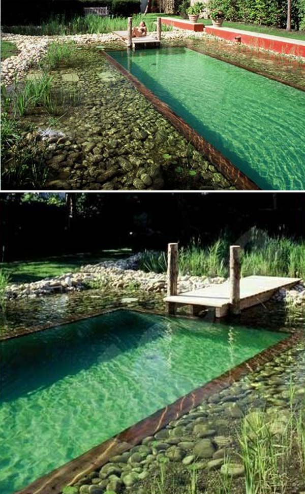 17 Family Natural Swimming Pools You Want To Jump Into Immediately Natural Swimming Pools 13