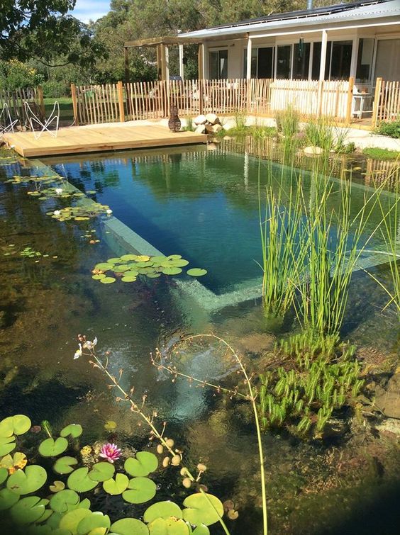 17 Family Natural Swimming Pools You Want To Jump Into Immediately Natural Swimming Pools 14