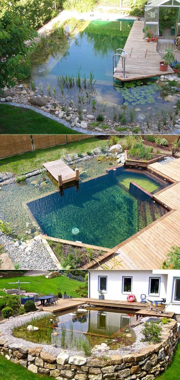 17 Family Natural Swimming Pools You Want To Jump Into Immediately Natural Swimming Pools 4