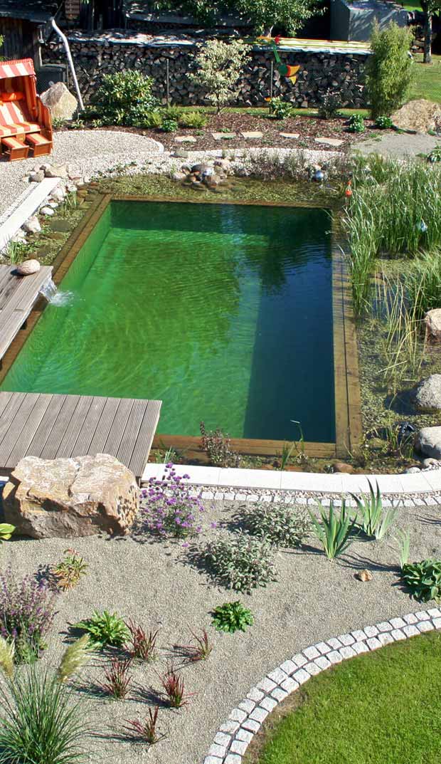 17 Family Natural Swimming Pools You Want To Jump Into Immediately Natural Swimming Pools 5
