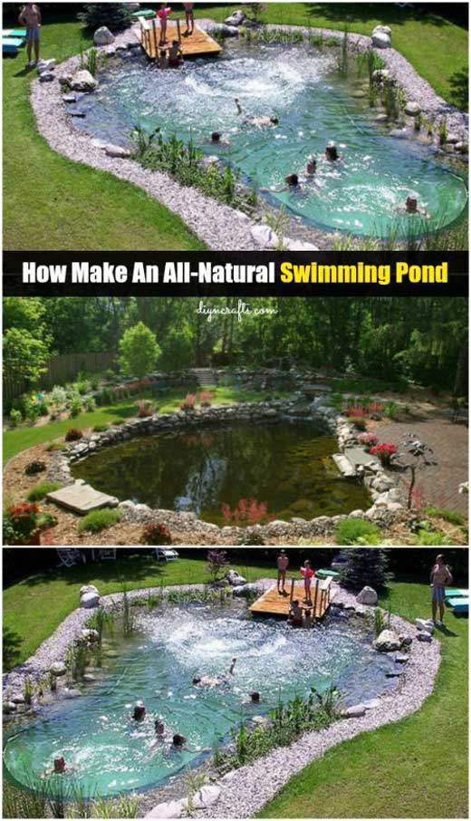17 Family Natural Swimming Pools You Want To Jump Into Immediately Natural Swimming Pools 6