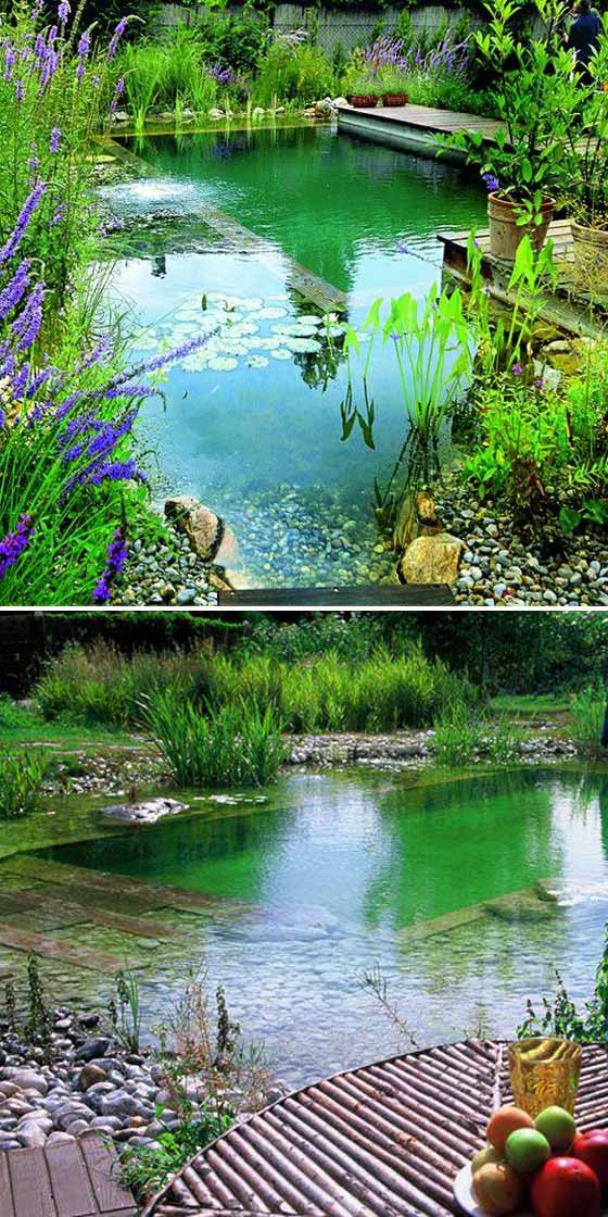 17 Family Natural Swimming Pools You Want To Jump Into Immediately Natural Swimming Pools 8