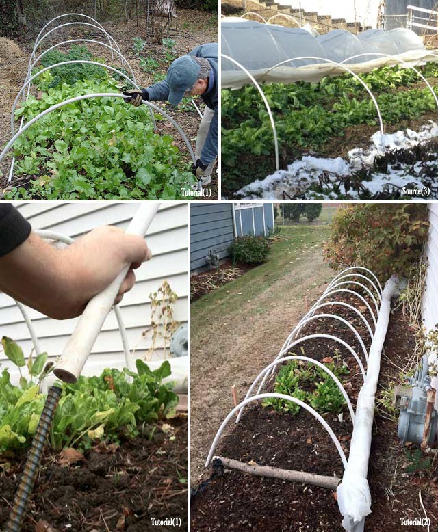 Cold Frame For Fall Winter Veggie Garden 1
