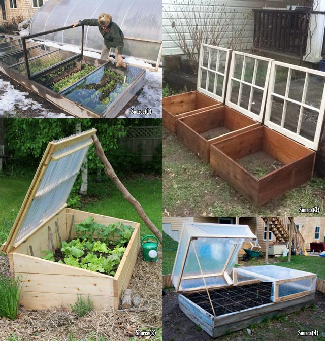 Cold Frame For Fall Winter Veggie Garden 3