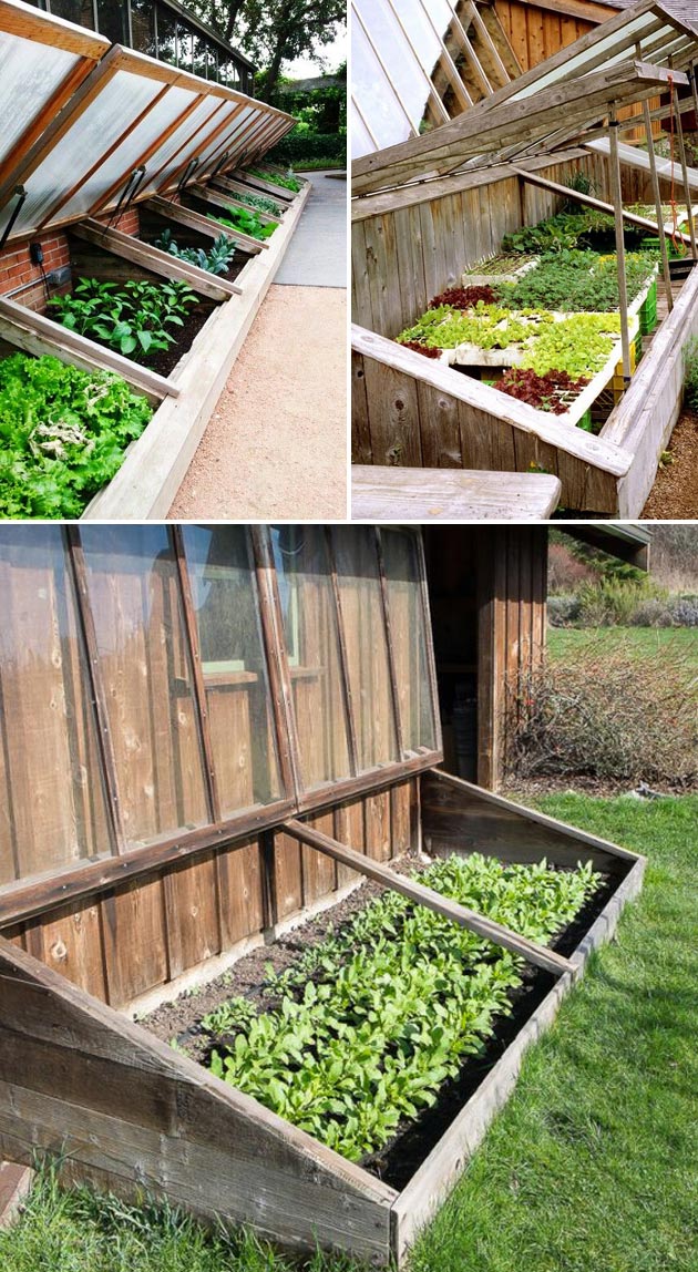 Cold Frame For Fall Winter Veggie Garden 4