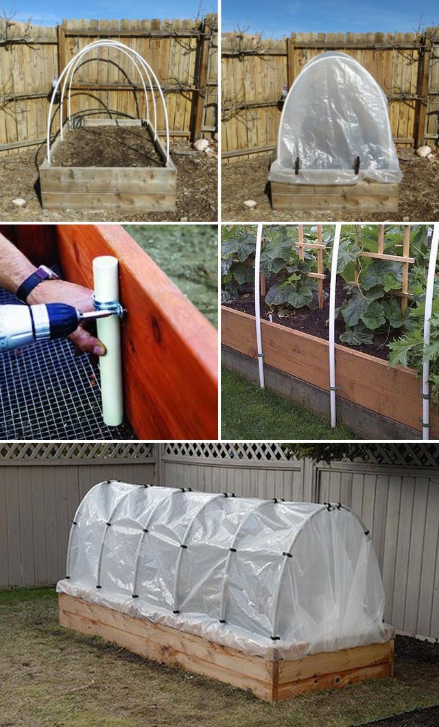 Cold Frame For Fall Winter Veggie Garden 6