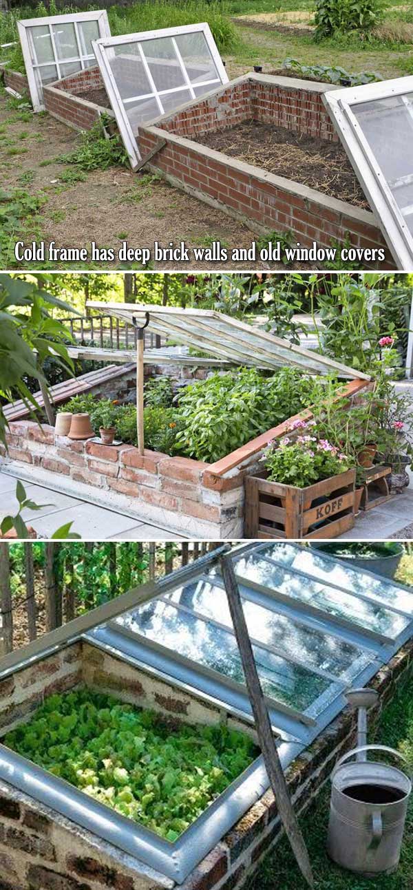 Cold Frame For Fall Winter Veggie Garden 7