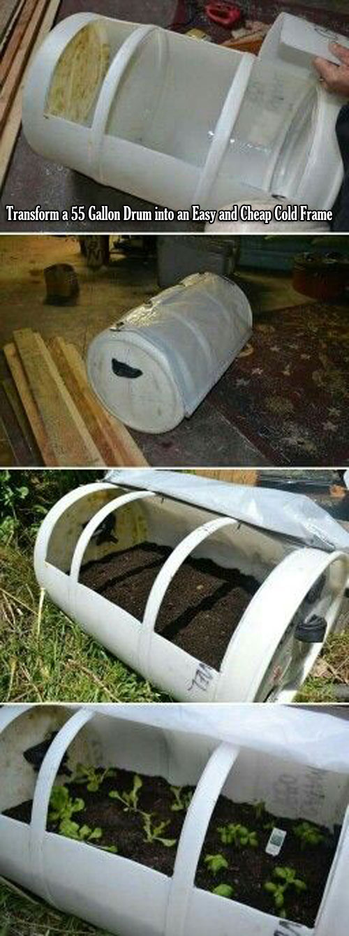 Cold Frame For Fall Winter Veggie Garden 8