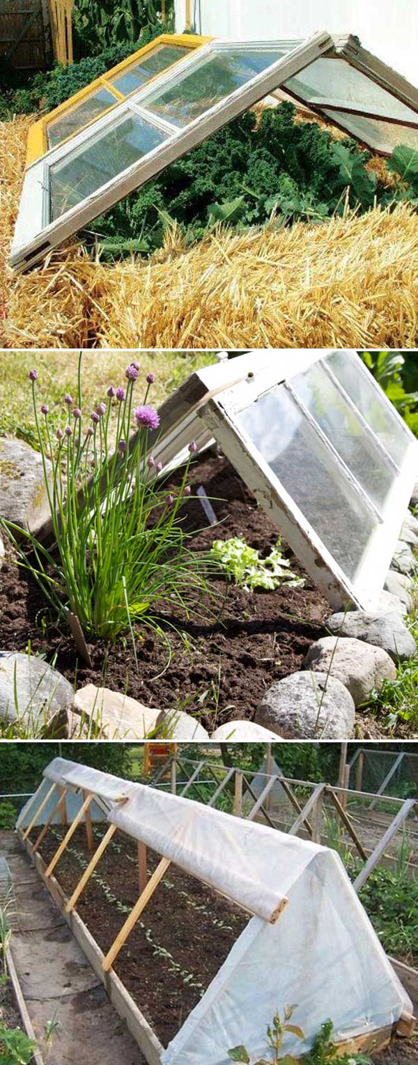 Cold Frame For Fall Winter Veggie Garden 9