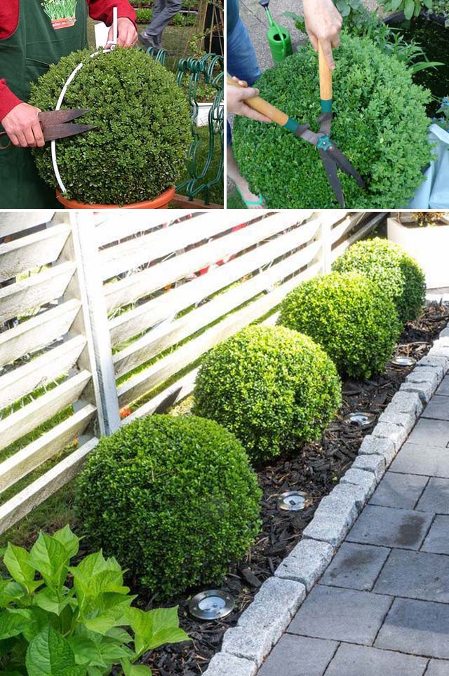 Diy Garden Globe Ball Ideas 2