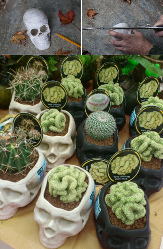 13 Ideas to Make Creepy DIY Halloween Planters DIY Scary Planter For This Halloween 10