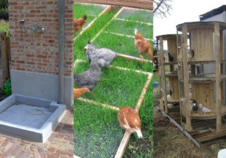 Diy Pet Projects Feature 330x230