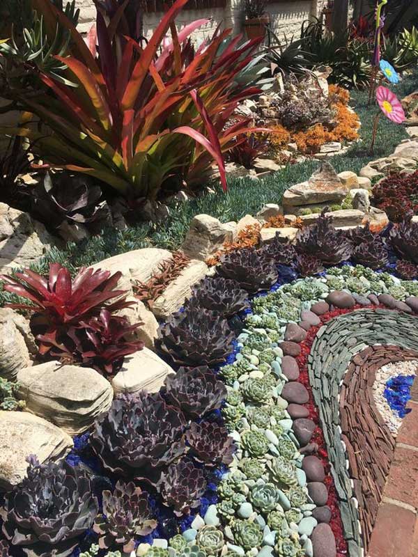 20 ideas for creating amazing garden succulent landscapes