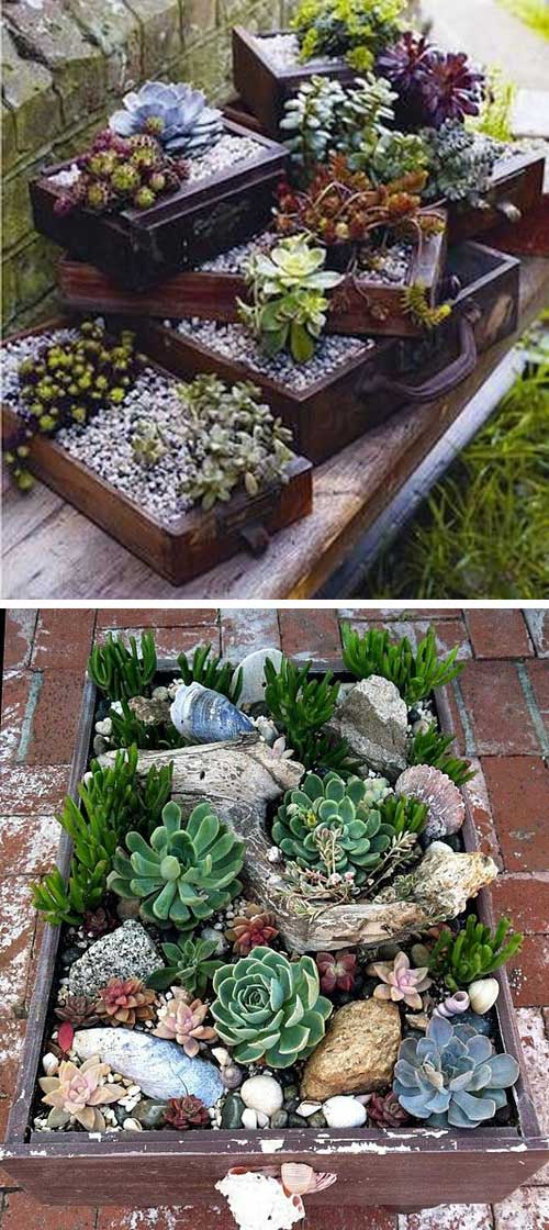 For those people who living inwards dry out areas xx Ideas for Creating Amazing Garden Succulent Landscapes