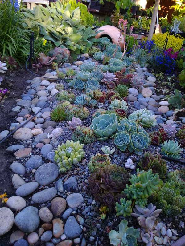 For those people who living inwards dry out areas xx Ideas for Creating Amazing Garden Succulent Landscapes