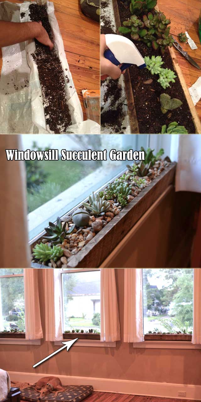 For those people who living inwards dry out areas xx Ideas for Creating Amazing Garden Succulent Landscapes