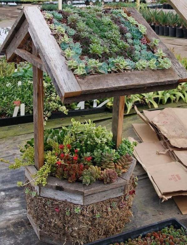 For those people who living inwards dry out areas xx Ideas for Creating Amazing Garden Succulent Landscapes