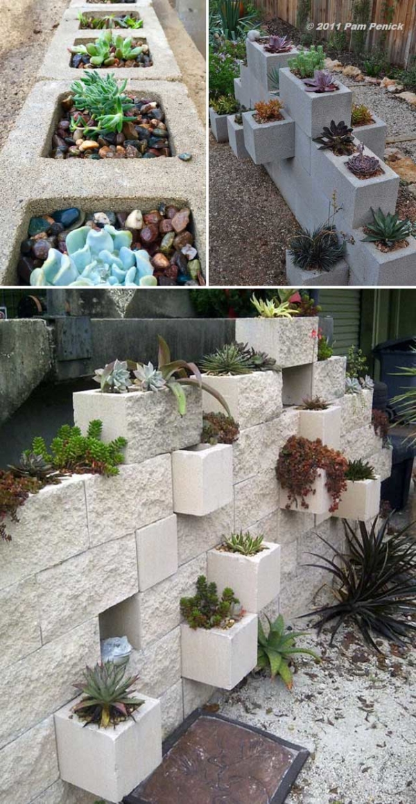 20 Ideas for Creating Amazing Garden Succulent Landscapes - Proud Home ...