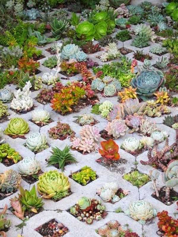 For those people who living inwards dry out areas xx Ideas for Creating Amazing Garden Succulent Landscapes