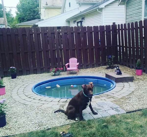 Swimming is a fantastic approach to win against the summertime oestrus Galvanized Stock Tank Turned Into Backyard Private Pool