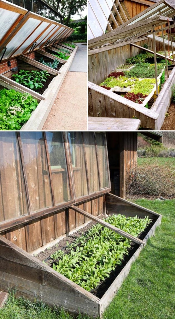 Top 10 Cold Frame Tips for Fall and Winter Veggies Gardening Proud