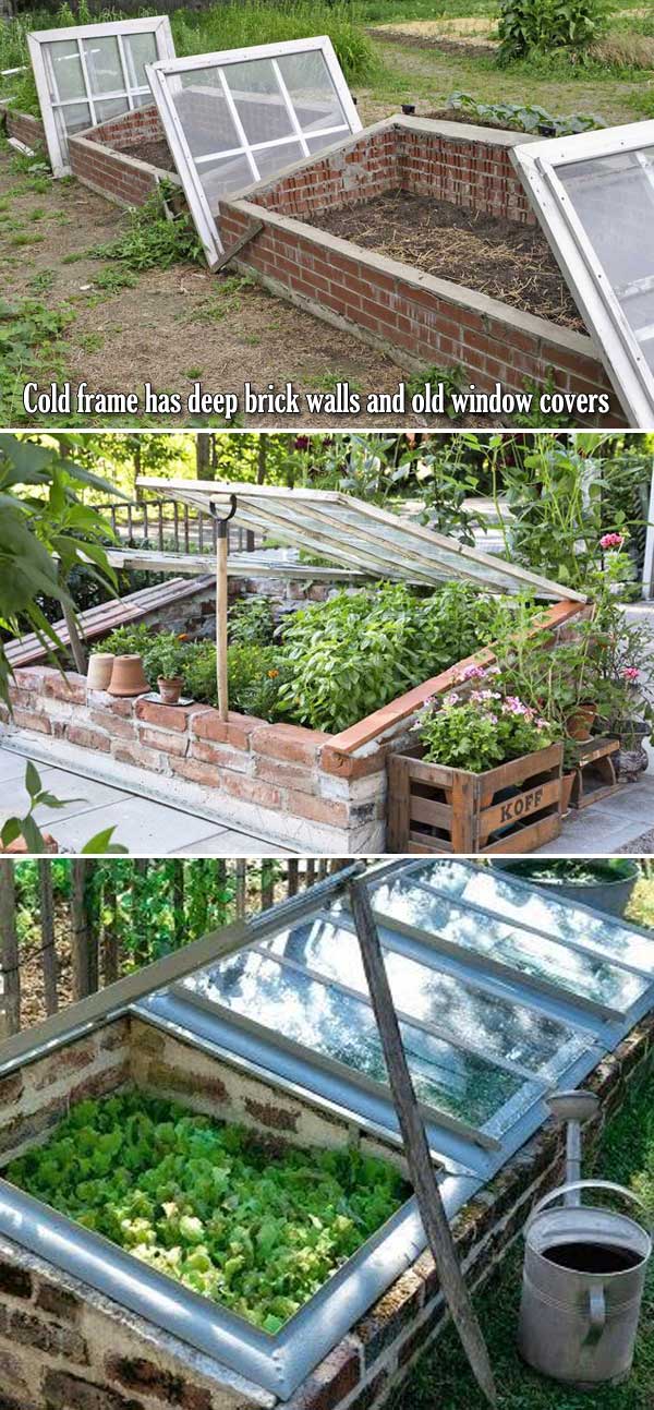  the mutual frigidness wintertime atmospheric condition is fast approaching Top 10 Cold Frame Tips for Fall as well as Winter Veggies Gardening